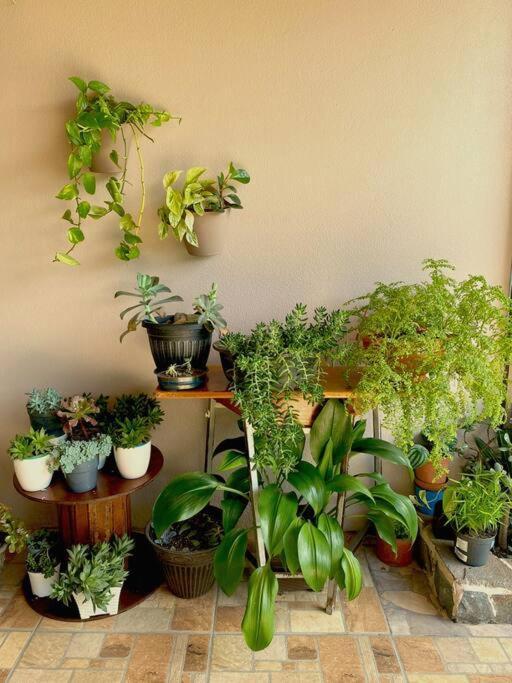 Peace Garden Apartment الجبل الأخضر المظهر الخارجي الصورة
