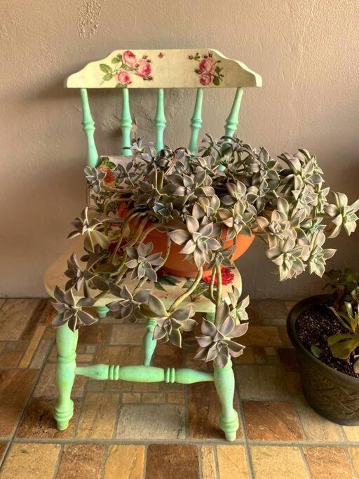 Peace Garden Apartment الجبل الأخضر المظهر الخارجي الصورة
